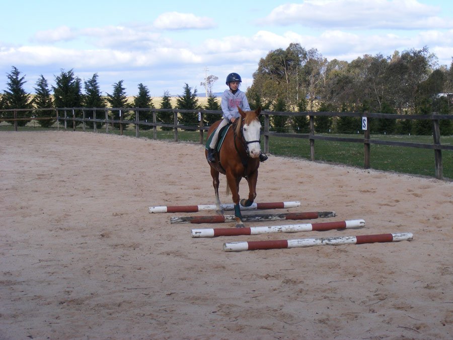 Riding Lessons